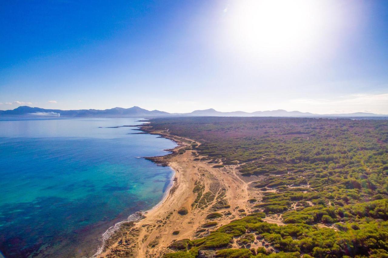 Ideal Property Mallorca - Es Puput Petra  Eksteriør bilde